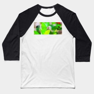 Dragonfly panoramic Baseball T-Shirt